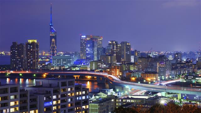 Fukuoka City Lights_Night copy.jpg